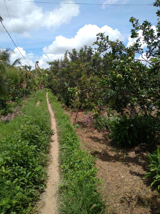 Ben Tre Hong Thai River Side Homestay מראה חיצוני תמונה